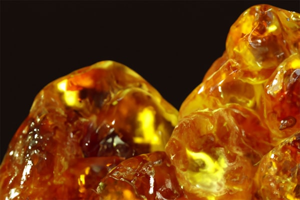 Close-up of translucent warm yellow amber stones